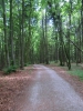 Pfingsfahrt 2012 WT