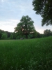 Pfingsfahrt 2012 WT