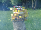 Pfingsfahrt 2012 WT